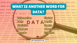 What is another word for Data