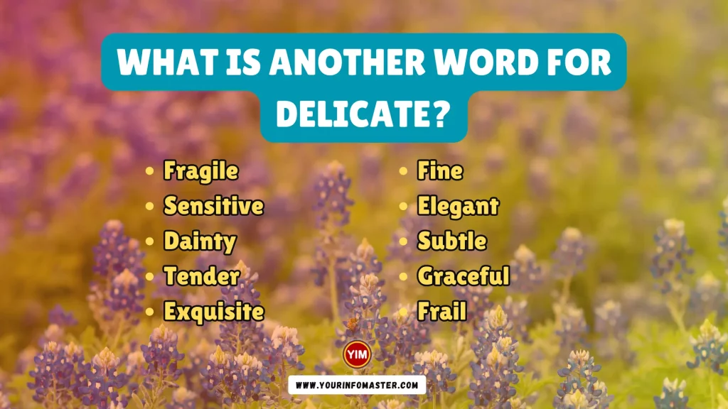 What is another word for Delicate