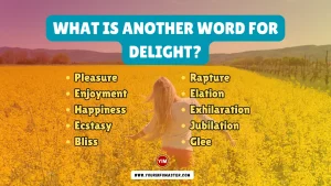 What is another word for Delight