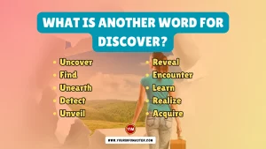 What is another word for Discover