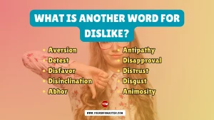 What is another word for Dislike