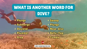 What is another word for Dive
