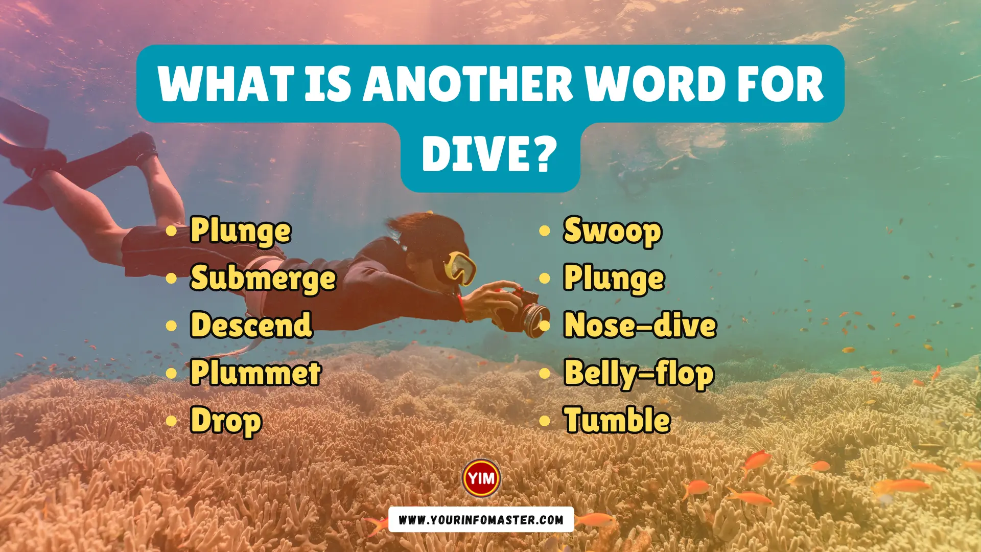 What is another word for Dive