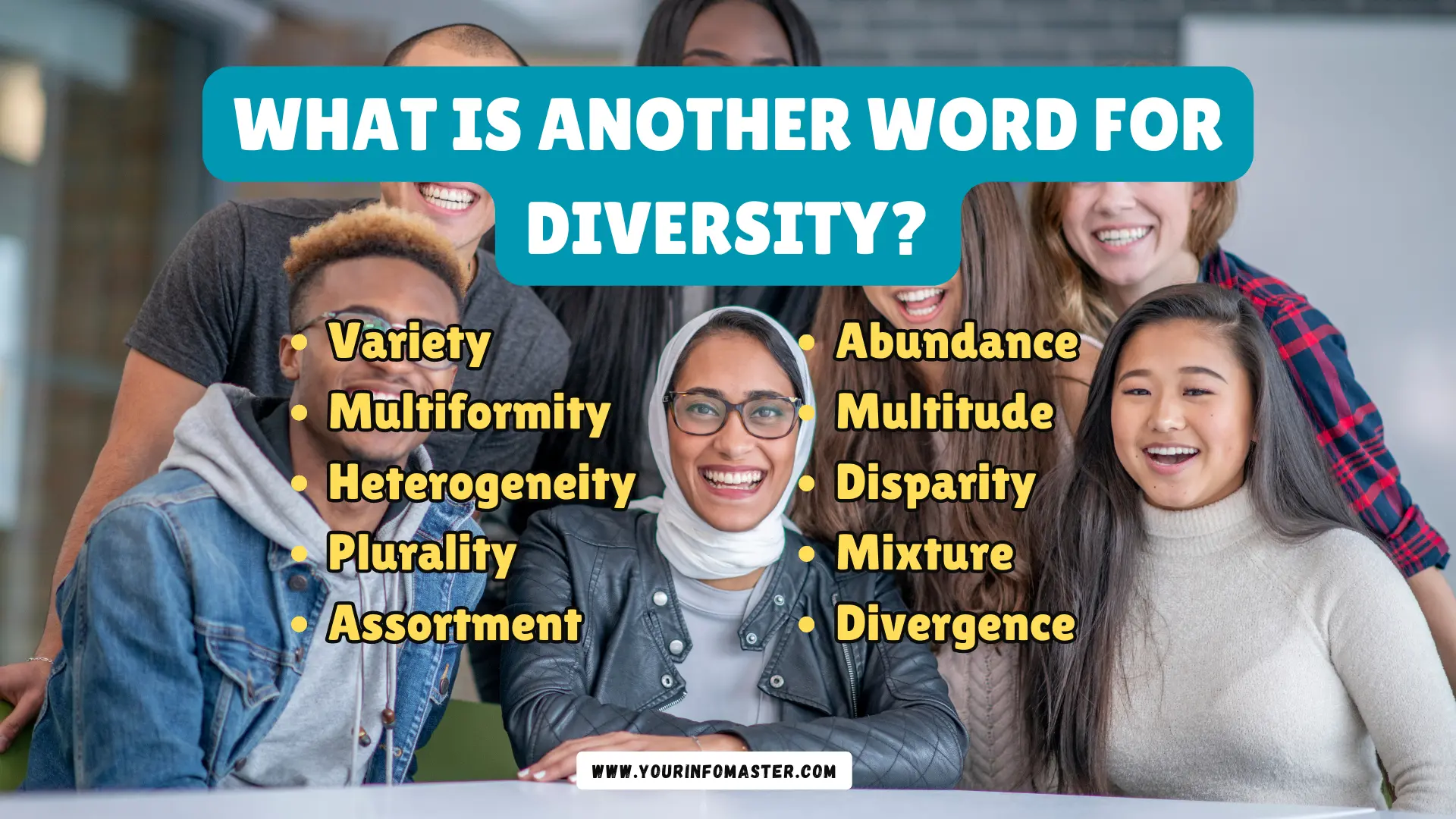What is another word for Diversity