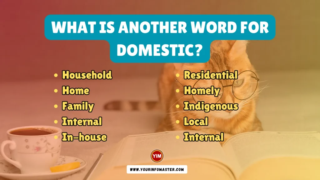 What is another word for Domestic