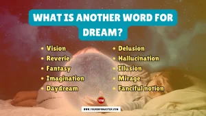 What is another word for Dream