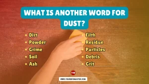 What is another word for Dust