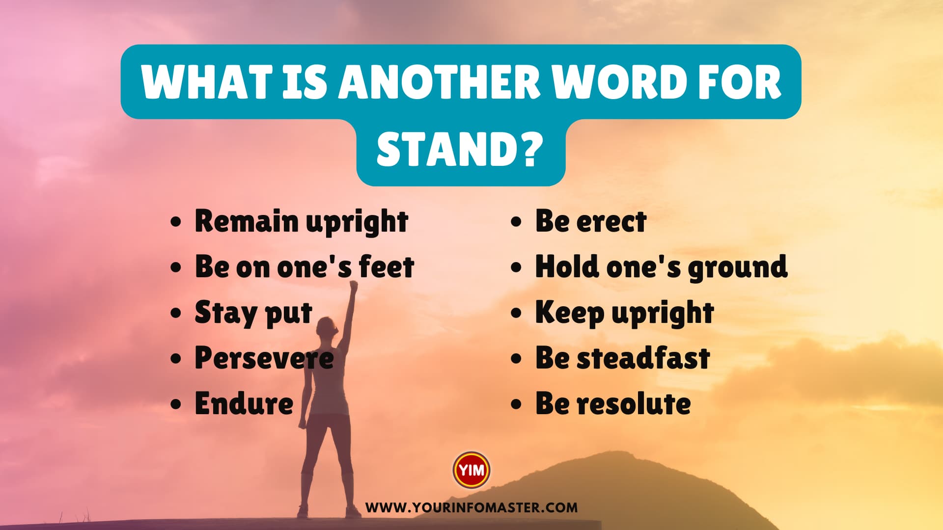 What is another word for Stand
