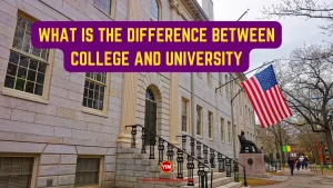 What is the Difference Between College and University
