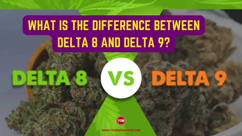 What is the Difference Between Delta 8 and Delta 9