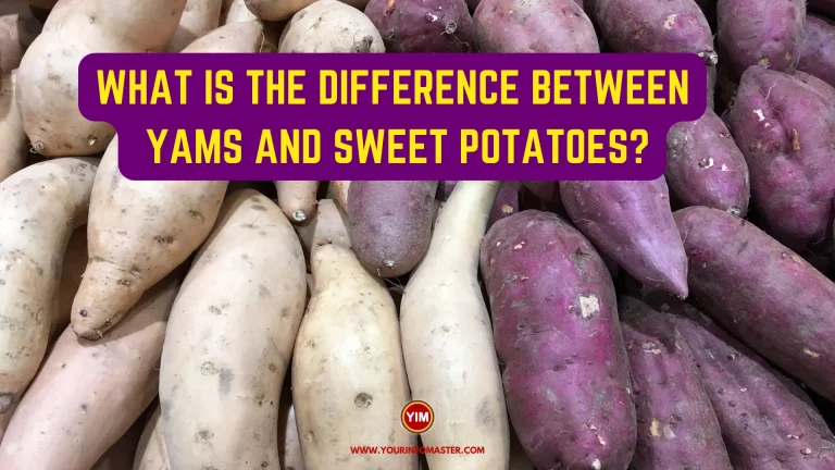 What is the Difference Between Yams and Sweet Potatoes