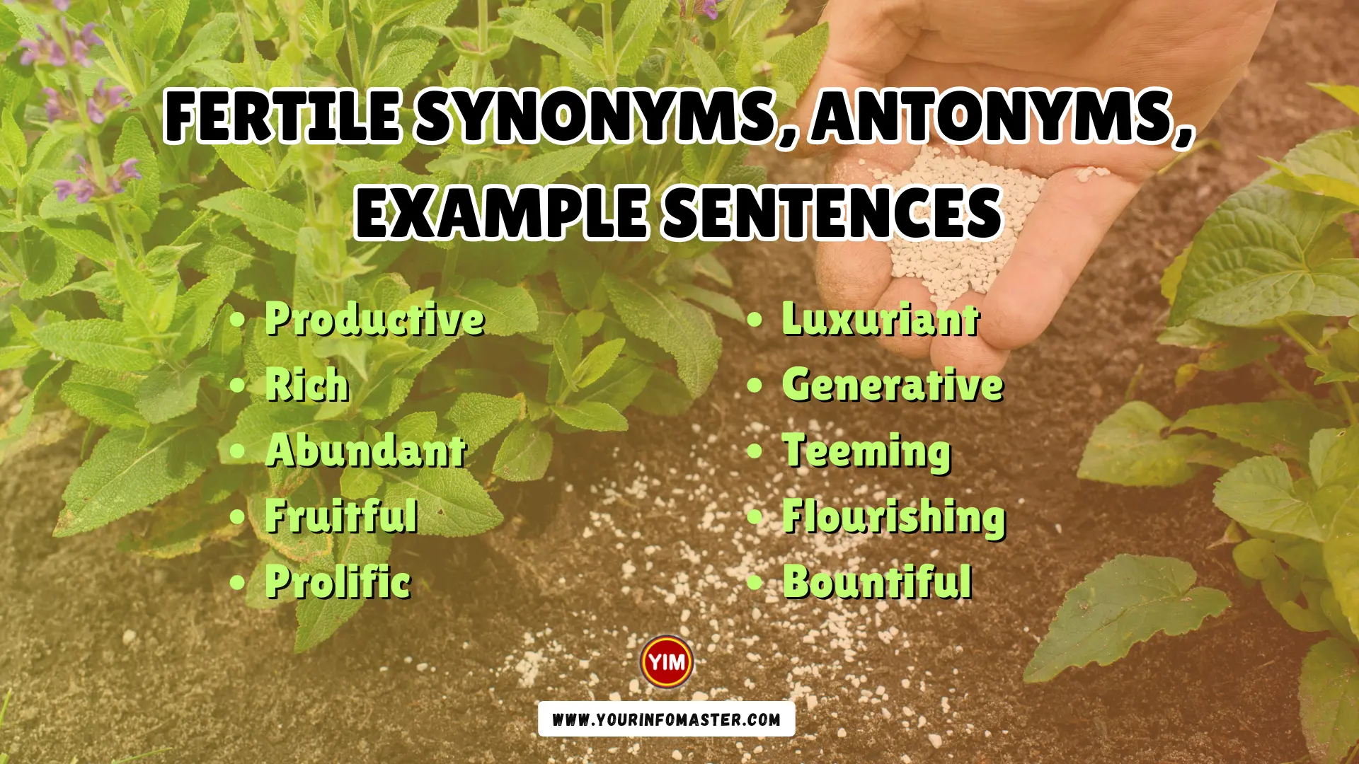 Fertile Synonyms, Antonyms, Example Sentences