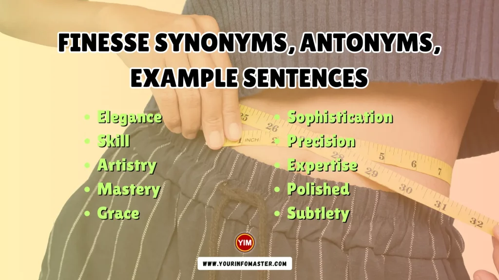 Finesse Synonyms, Antonyms, Example Sentences