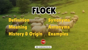 Flock Synonyms, Antonyms, Example Sentences