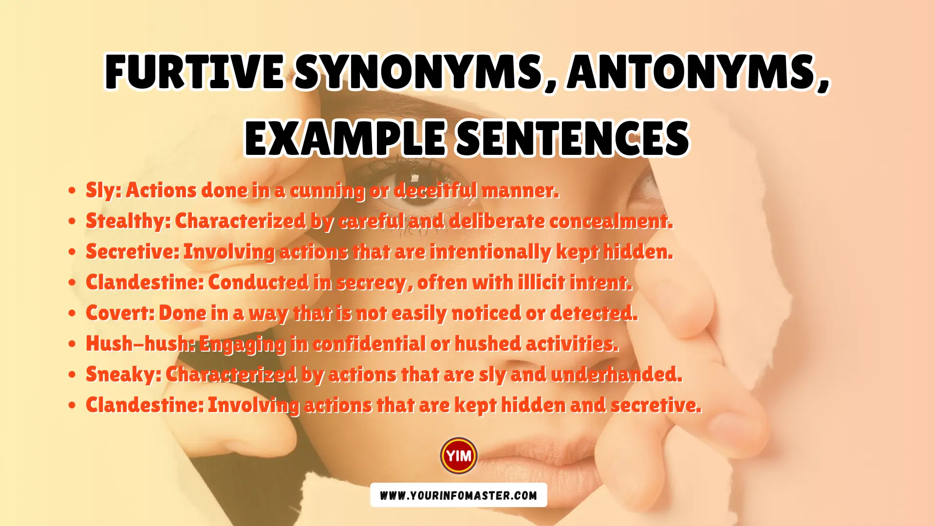 Furtive Synonyms, Antonyms, Example Sentences