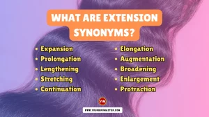 What are Extension Synonyms