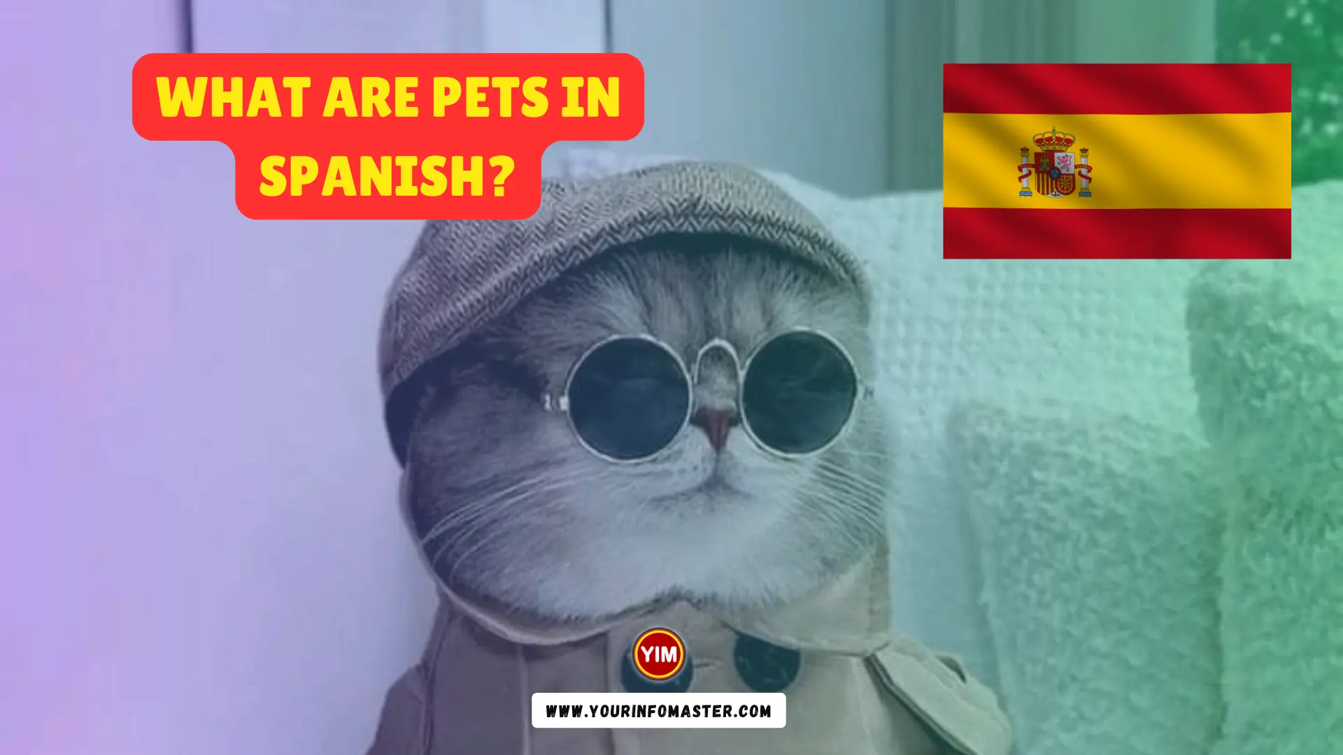 What are Pets in Spanish