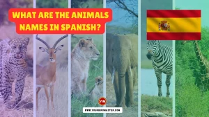 What are the Animals Names in Spanish