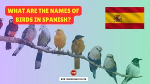 What are the Names of Birds in Spanish