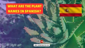 What are the Plant Names in Spanish