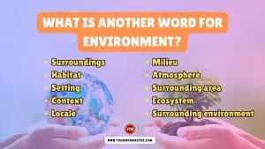 What is another word for Environment