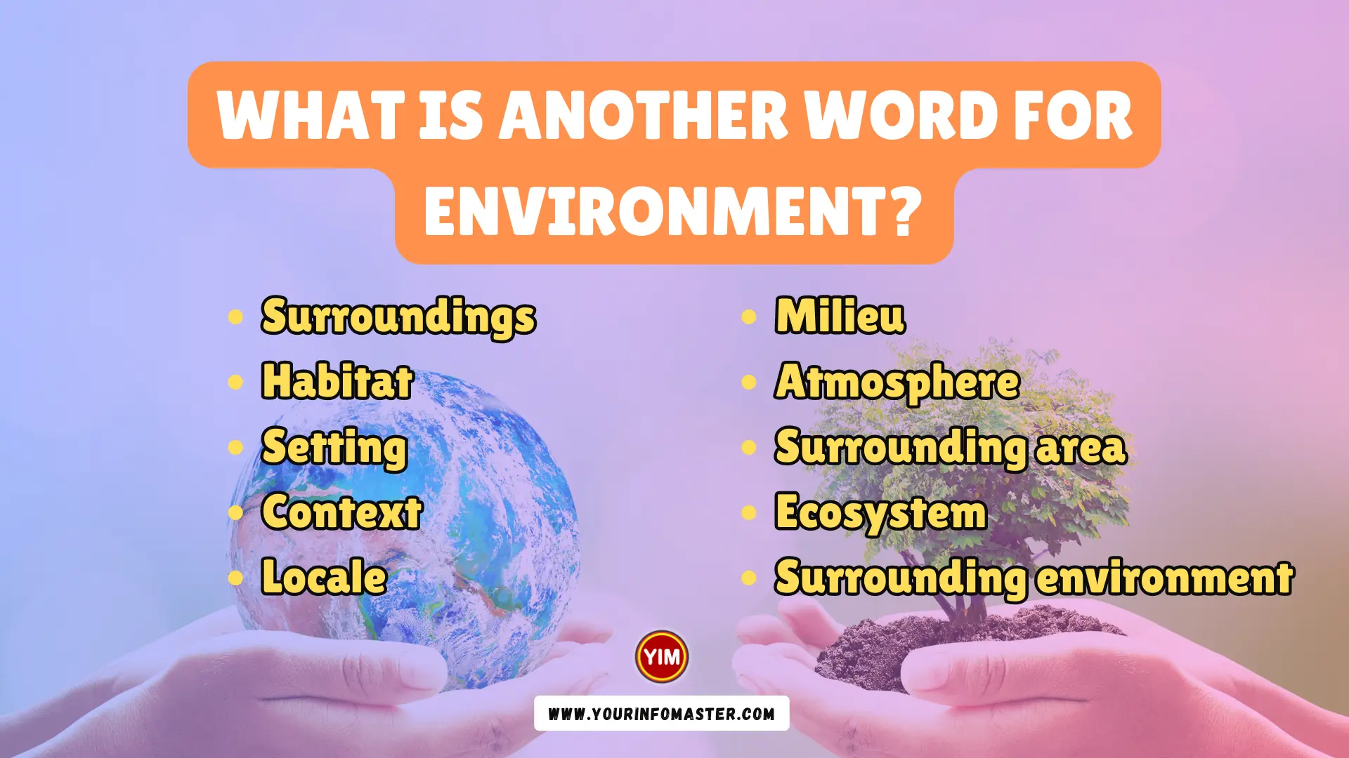 What is another word for Environment