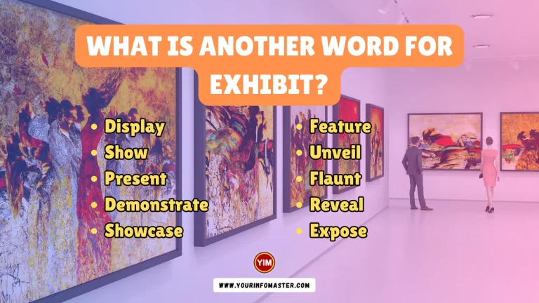 What is another word for Exhibit