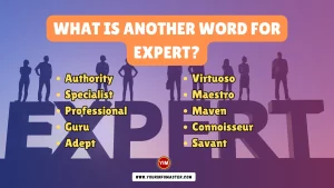 What is another word for Expert