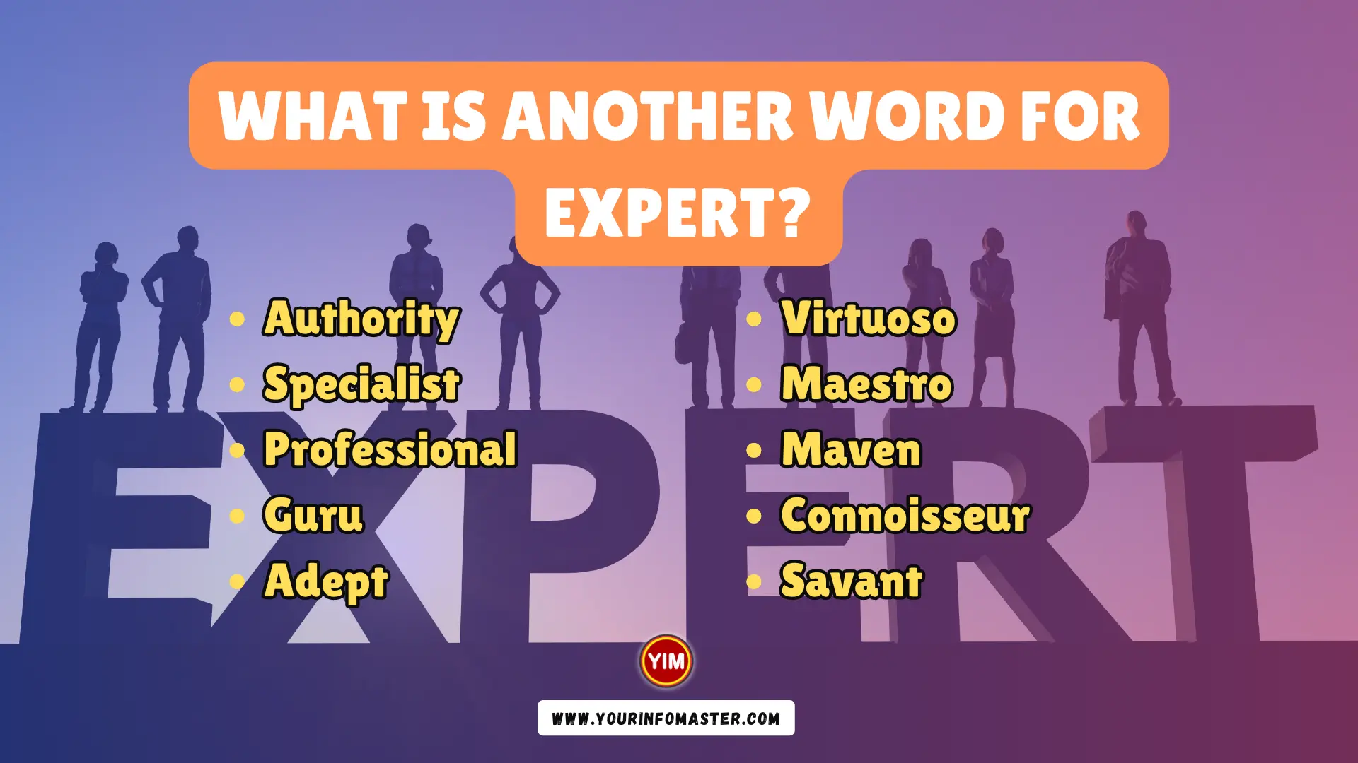 What is another word for Expert