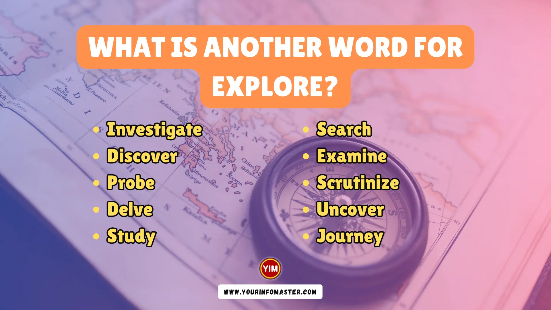 another word for explore in an essay