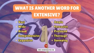 What is another word for Extensive