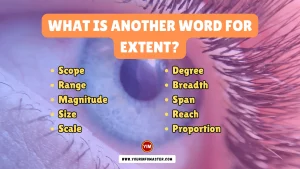 What is another word for Extent