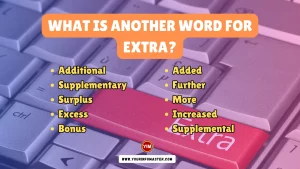 What is another word for Extra