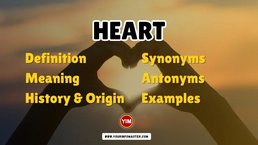 Heart Synonyms, Antonyms, Example Sentences