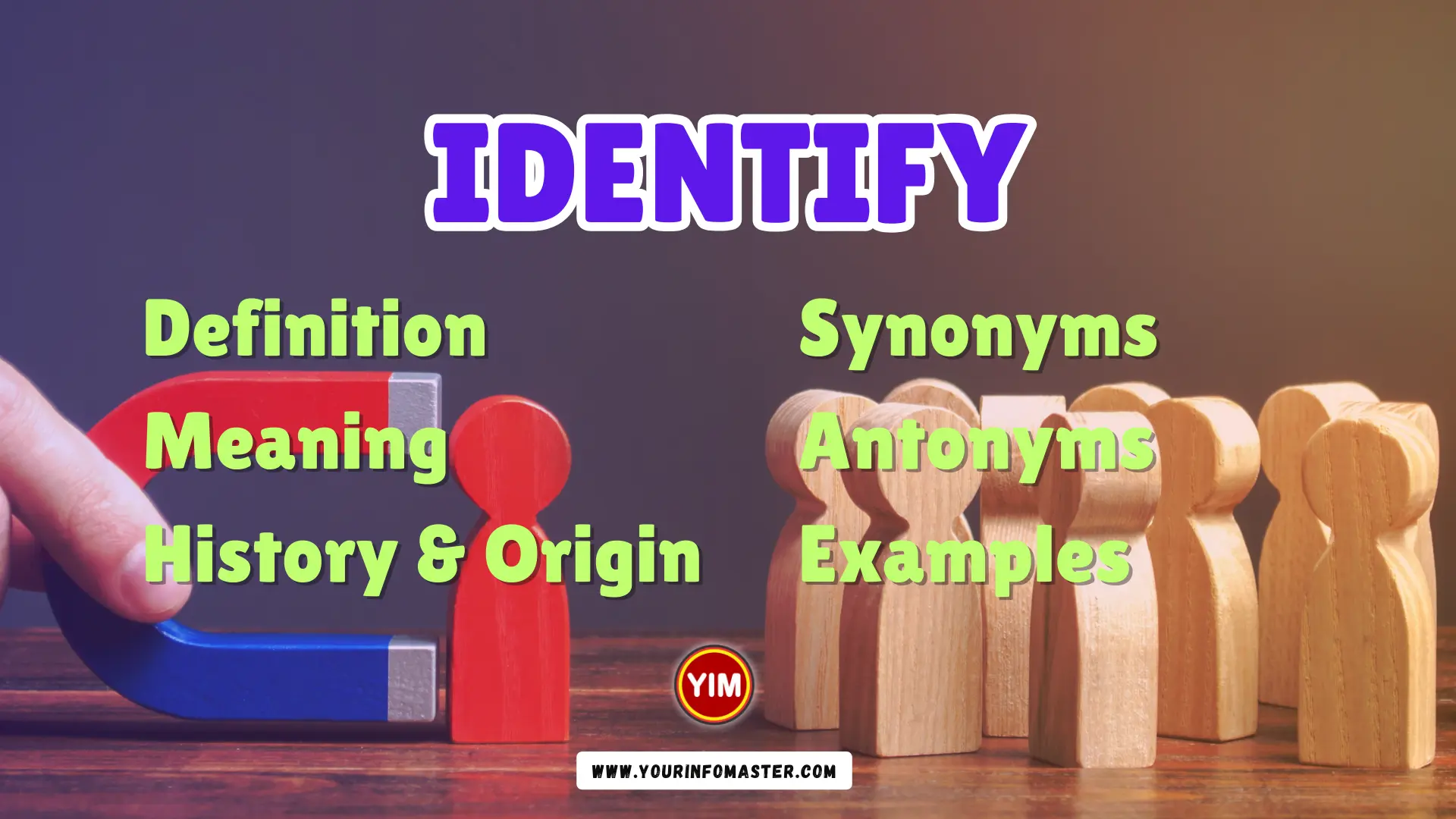 Identify Synonyms, Antonyms, Example Sentences