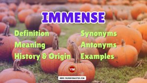 Immense Synonyms, Antonyms, Example Sentences