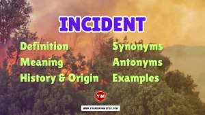 Incident Synonyms, Antonyms, Example Sentences