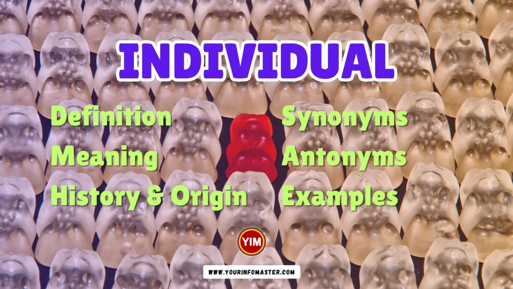 Individual Synonyms, Antonyms, Example Sentences