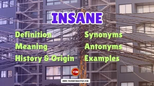 Insane Synonyms, Antonyms, Example Sentences
