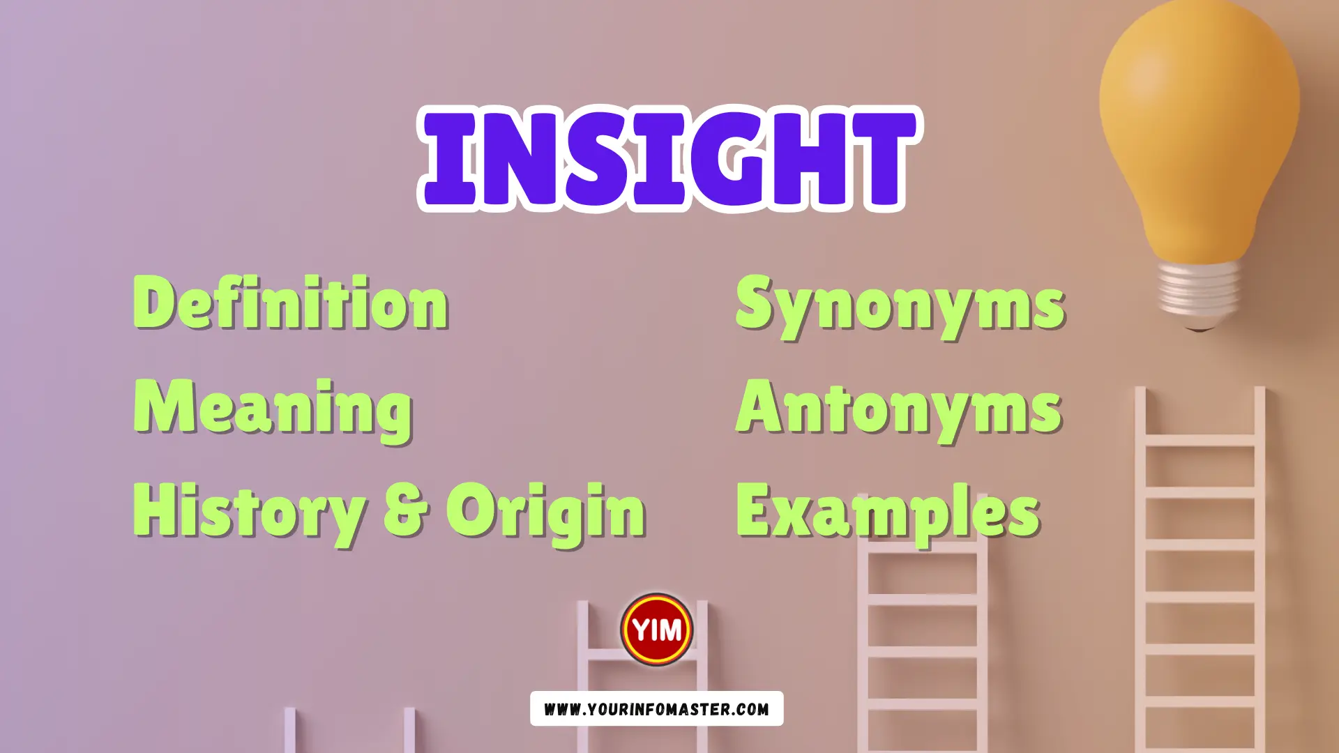 Insight Synonyms, Antonyms, Example Sentences