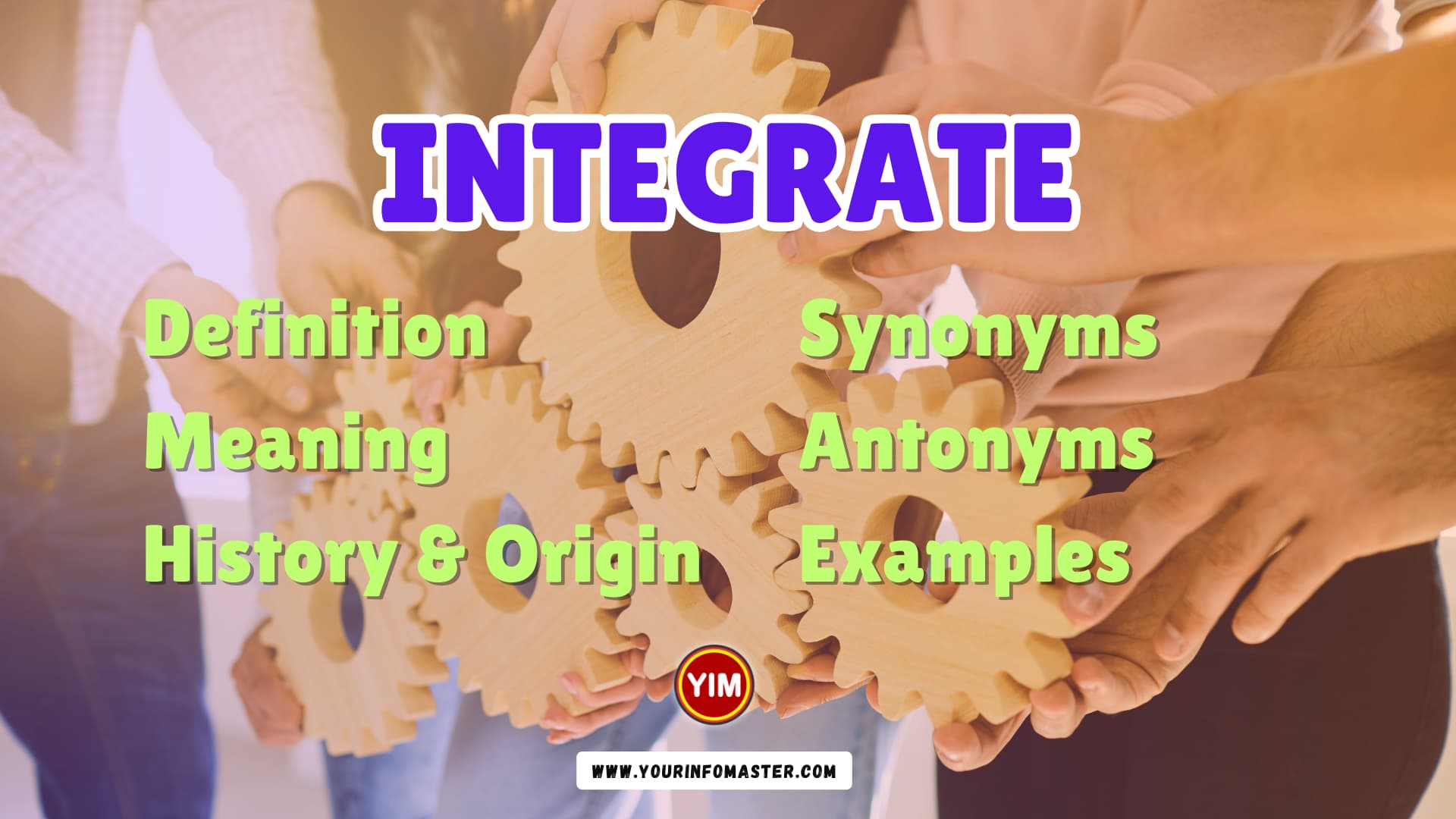 Integrate Synonyms, Antonyms, Example Sentences