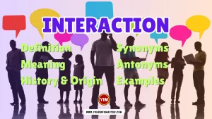 Interaction Synonyms, Antonyms, Example Sentences