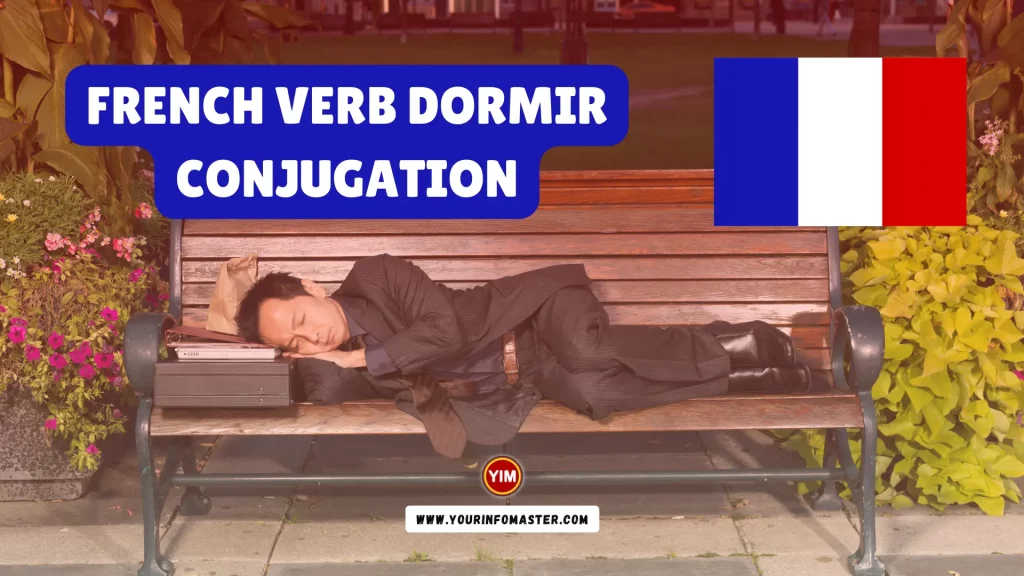 French Verb Dormir Conjugation, Meaning, Translation, Examples