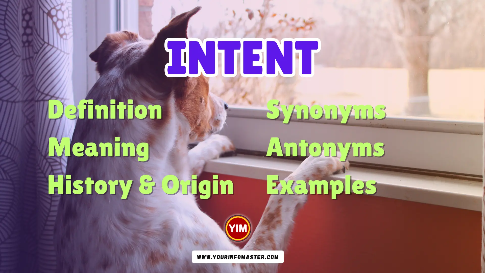 Intent Synonyms, Antonyms, Example Sentences