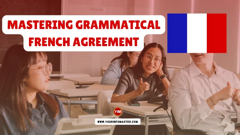 Mastering Grammatical French Agreement Rules and Examples