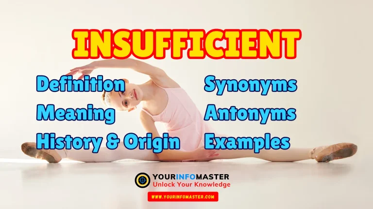 Insufficient Synonyms, Antonyms, Example Sentences